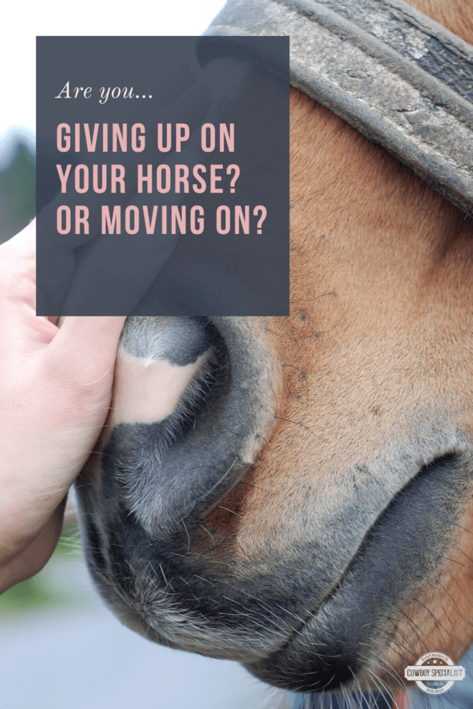 Are you giving up on your horse or moving on?