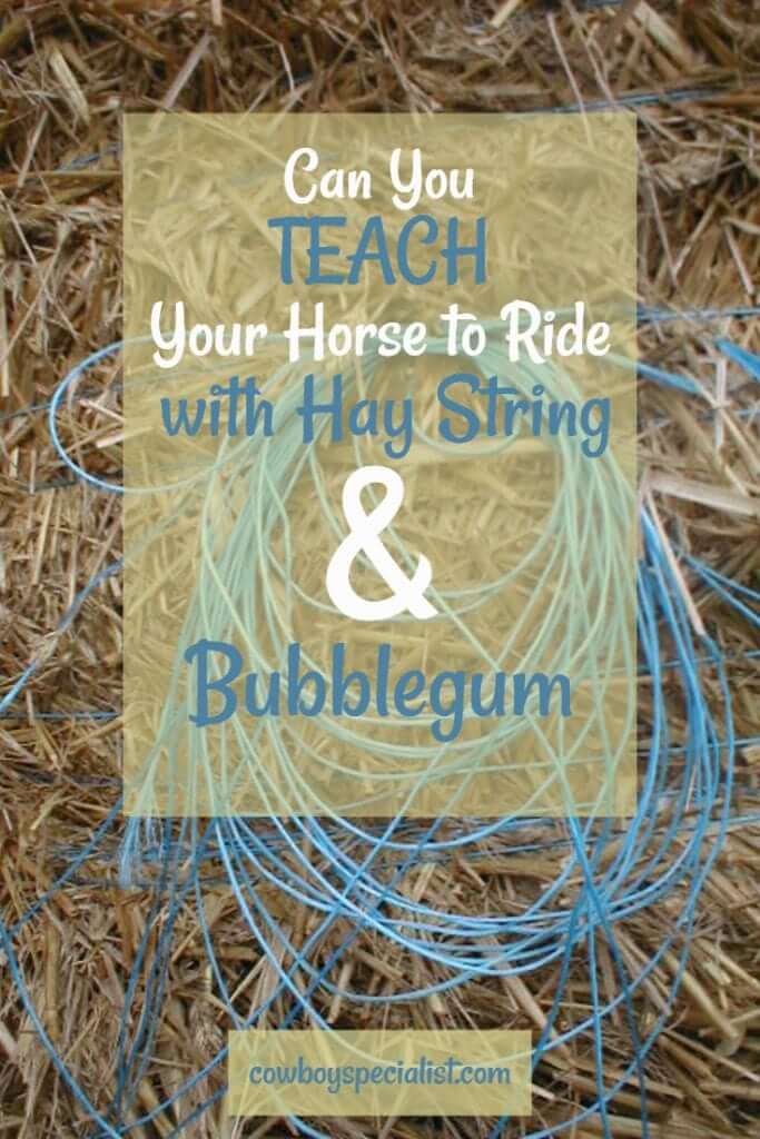 Can you teach your horse to ride with hay string and bubblegum?