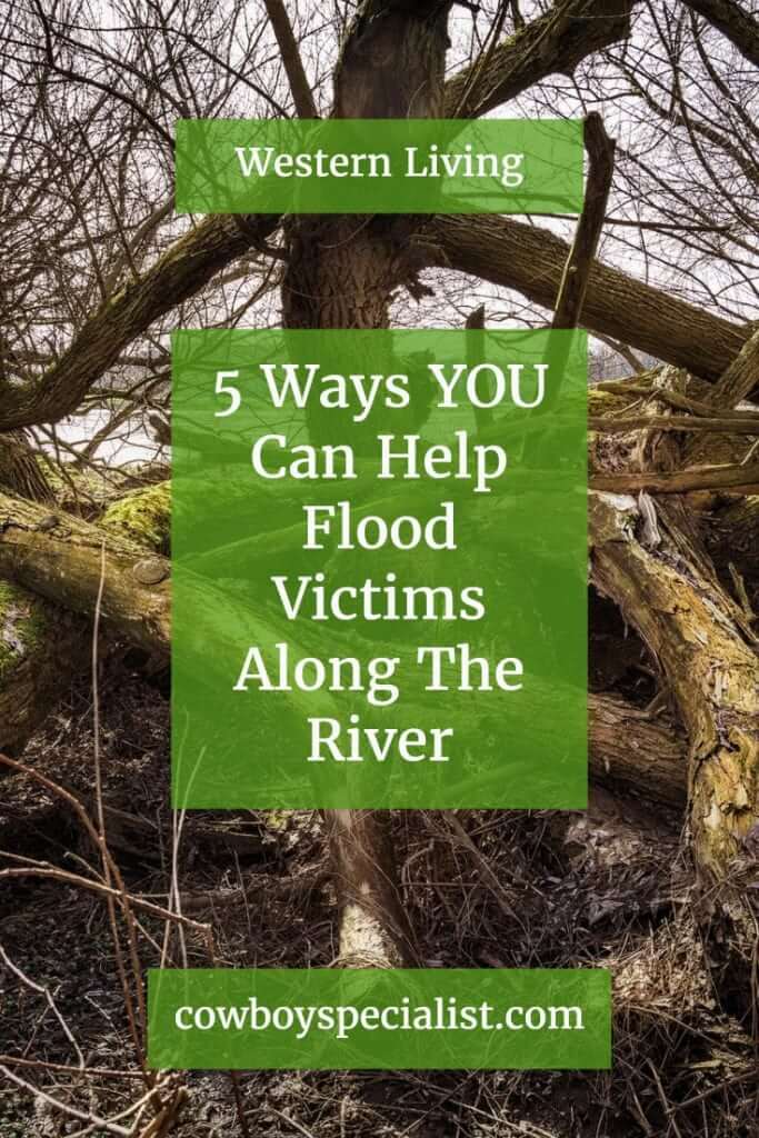 ways to help flood victims essay