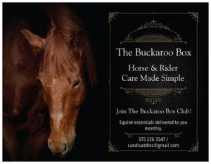 The Buckaroo Box: Horse and Rider Care Made Simple