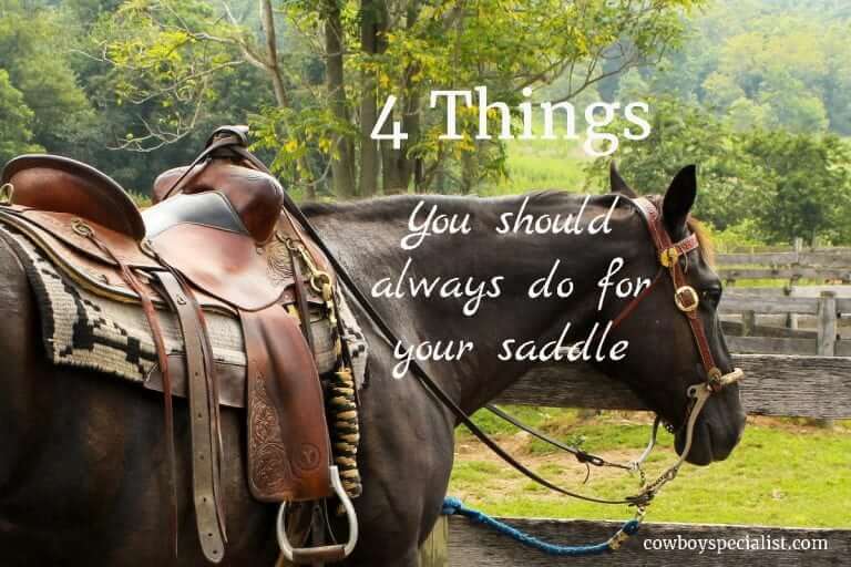 Saddle Care: 4 Things You Should Always Do For Your Saddle