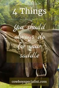 Saddle Care: 4 Things You Should Always Do For Your Saddle