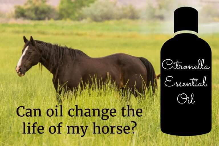 Can oil change the life of my horse?