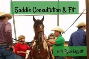 Saddle Consultation & Fit