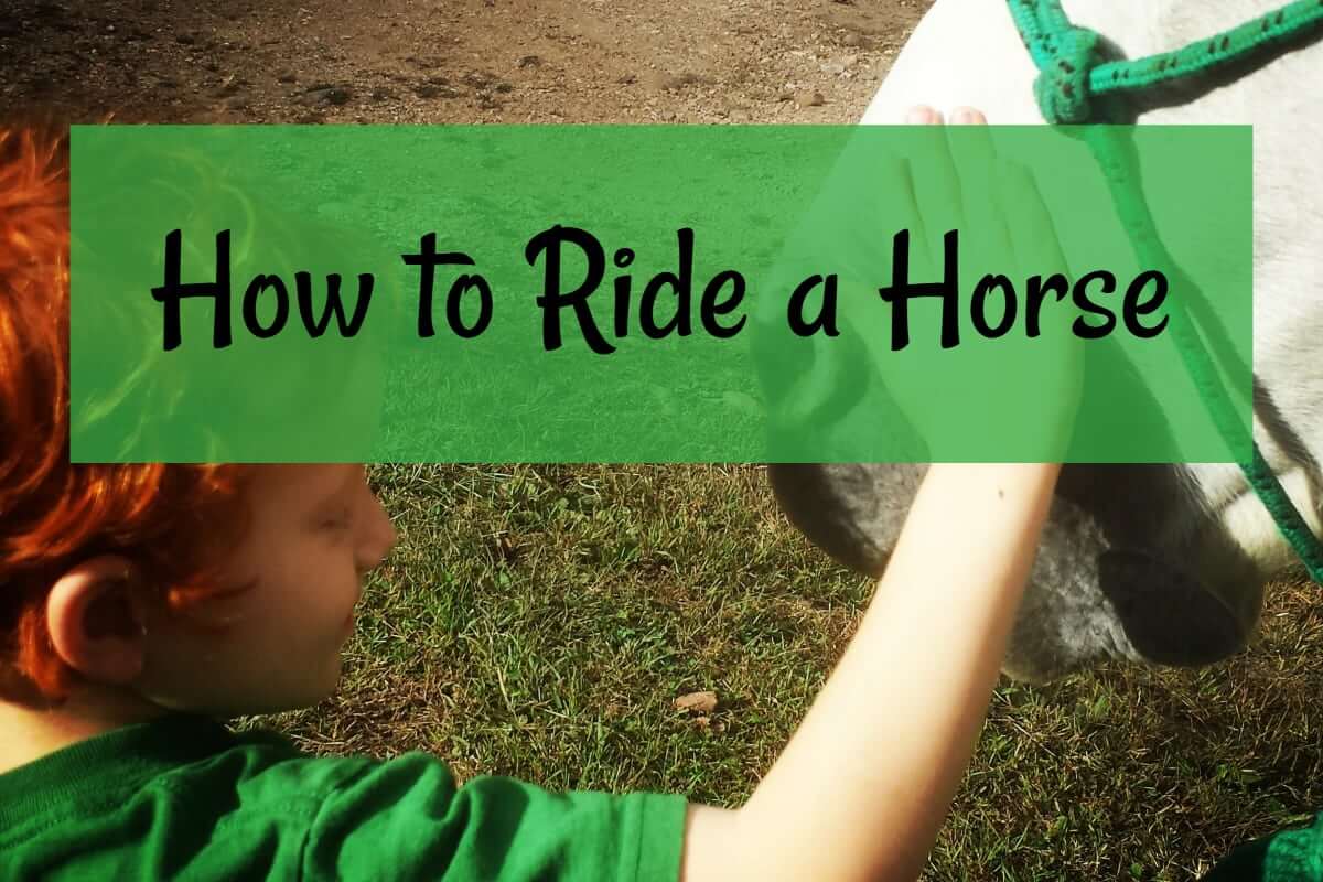 how-to-ride-a-horse-simply-stated-cowboy-specialist