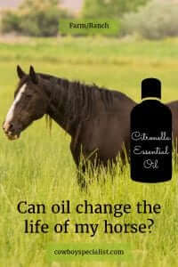 Can oil change the life of my horse? Citronella Fly Spray