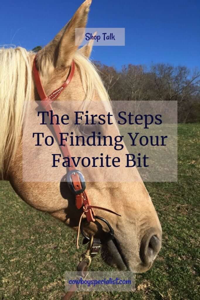 The first steps to finding your favorite bit