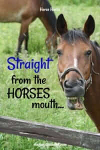 Straight from the horses mouth...or teeth