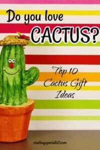 Do you love Cactus? Top 10 Cactus Gift Ideas