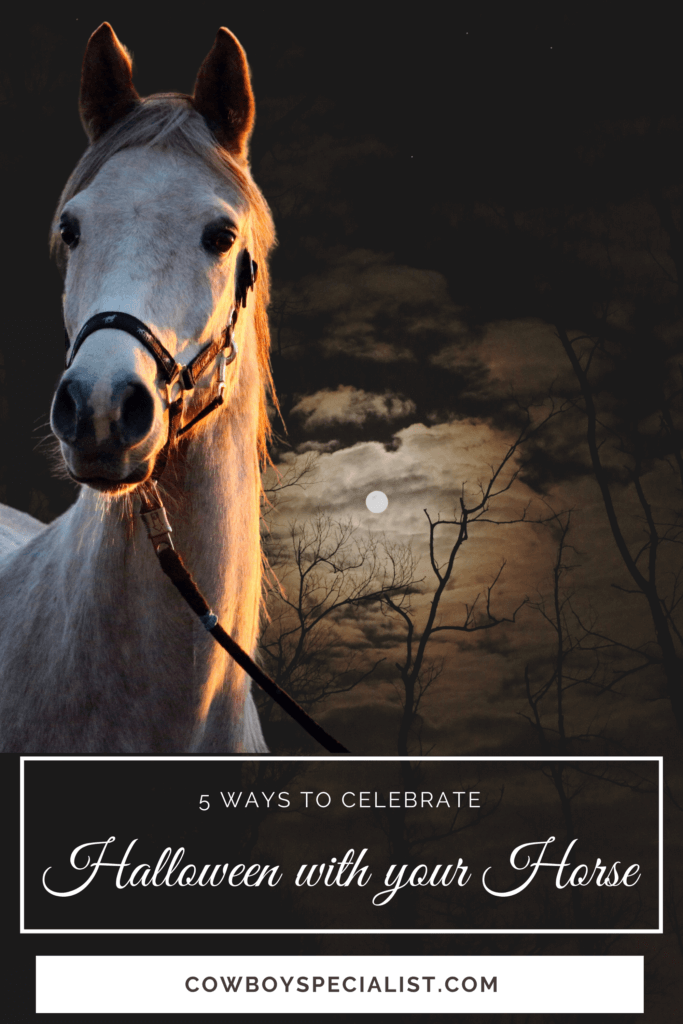 5 ways to celebrate Halloween With Your Horse