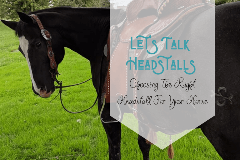 Choosing The Right Headstall For Your Horse