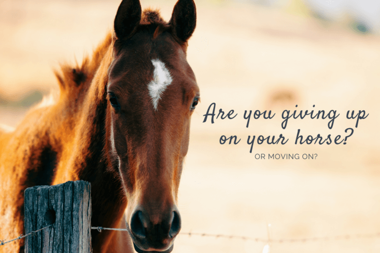 Are you giving up on your horse or moving on?