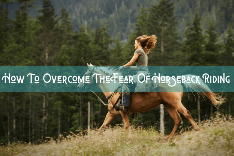 How to overcome the fear of horseback riding