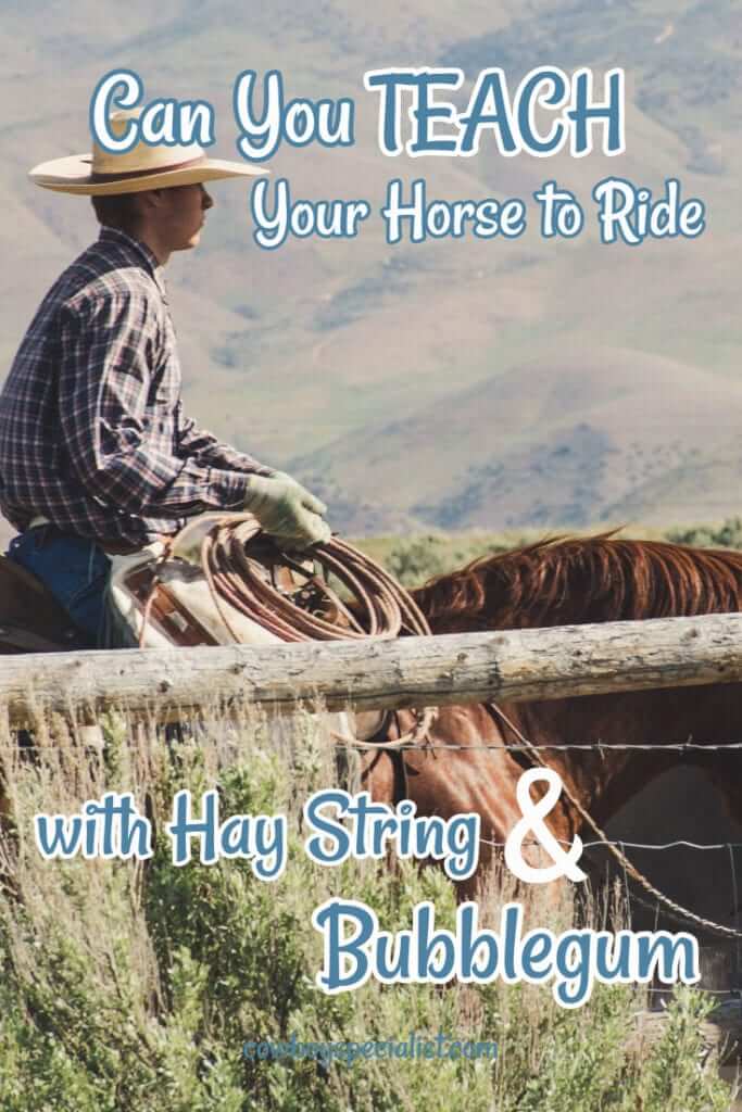 Can you teach your horse to ride with Hay String and Bubblegum