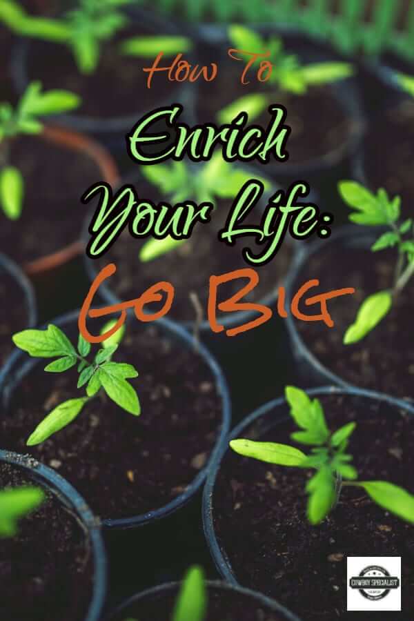 How To Enrich Your Life: Go Big
