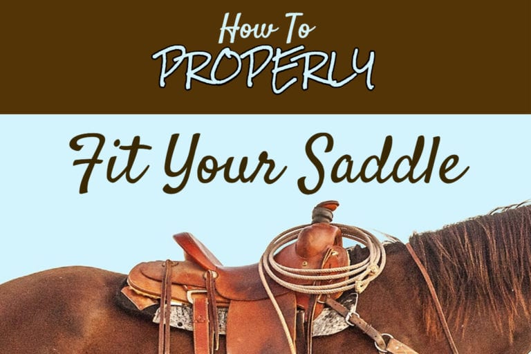 How To Properly Fit Your Saddle