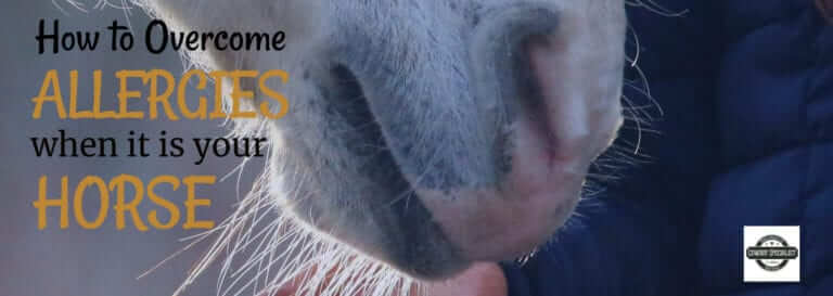 How to overcome allergies when it is your horse