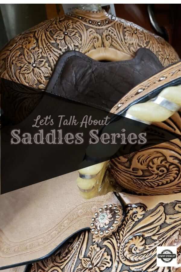 Let's Talk About Saddles Series