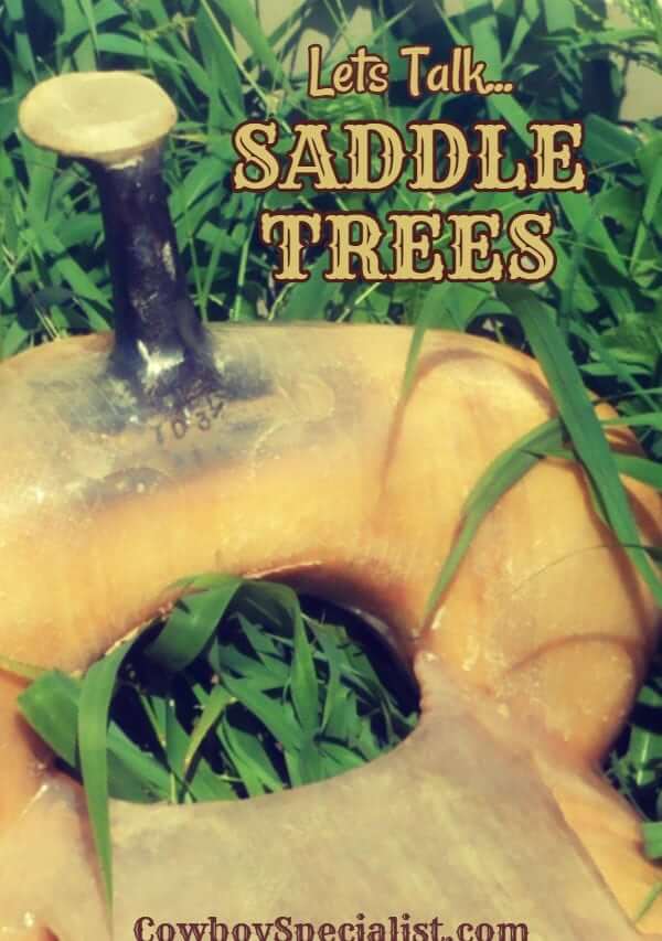 Lets Talk Saddle Trees