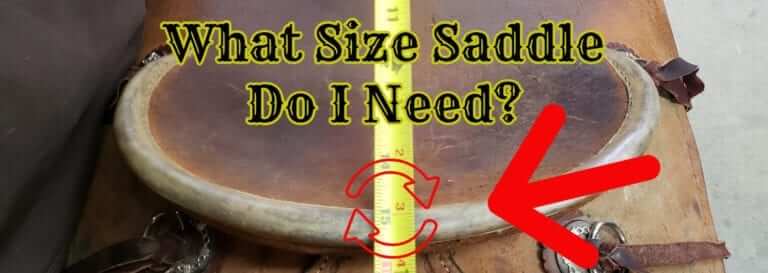 What size saddle do I need?