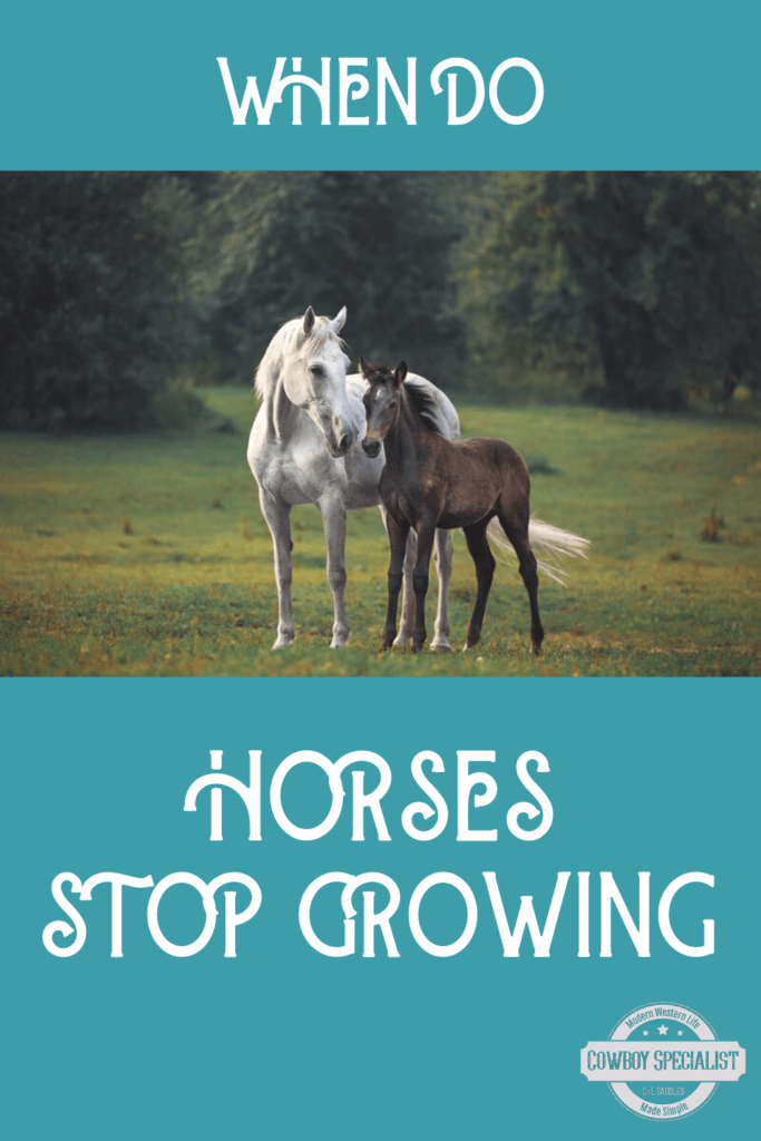 When do horses stop growing?