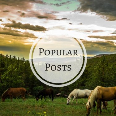 Popular Posts